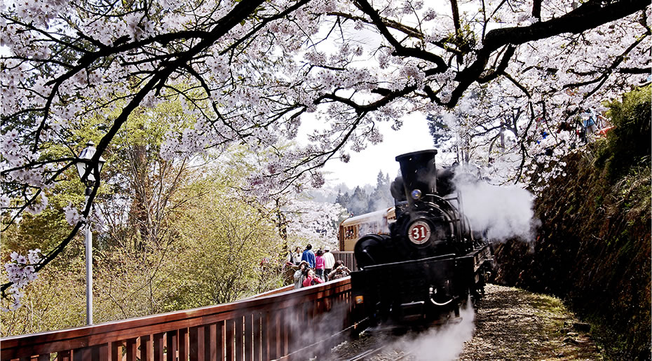 阿里山森林鉄道の駅